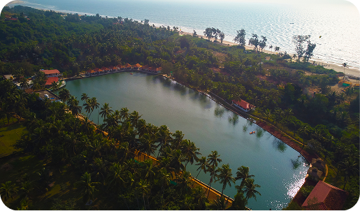 Goa